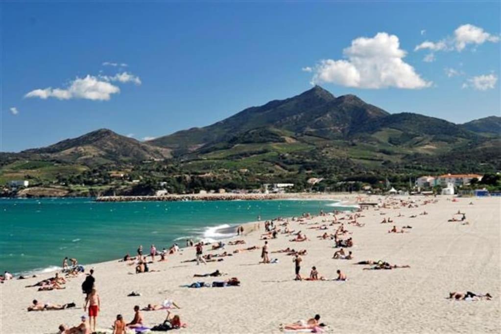 Studio/F1Bis A 50 M De La Plage Argeles-sur-Mer Luaran gambar