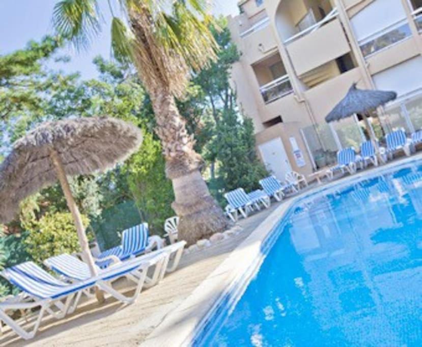 Studio/F1Bis A 50 M De La Plage Argeles-sur-Mer Luaran gambar