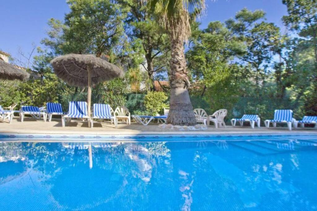 Studio/F1Bis A 50 M De La Plage Argeles-sur-Mer Luaran gambar